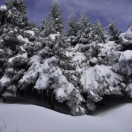 Locanda Rifugio Burigone *